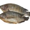 Frozen Tilapia Svart (800-1kg.) 10 kg.