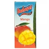 Juice 1L Nectar Mango x 12