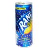 Rani 235ml Pineapple x 24
