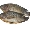 Frozen Tilapia Svart 800-1kg 10 kg Almadina