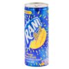 Rani 235ml Mango x 24