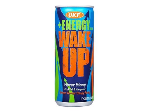 Energy Drink 250ml Wake up x 24