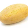 Melon Iransk Eivanake 14 kg.(Oransje)