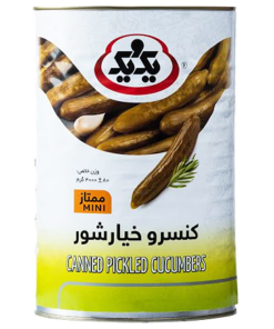 Saltede Agurk 4000g 1&1 x 4