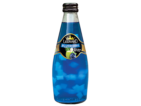 Nata De Coco Blueberry 300ml x 24