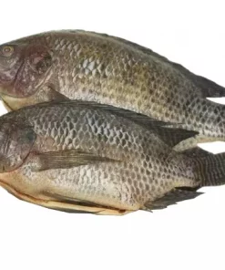 Frozen Tilapia Svart 800g+ Green & Blue 4 kg.
