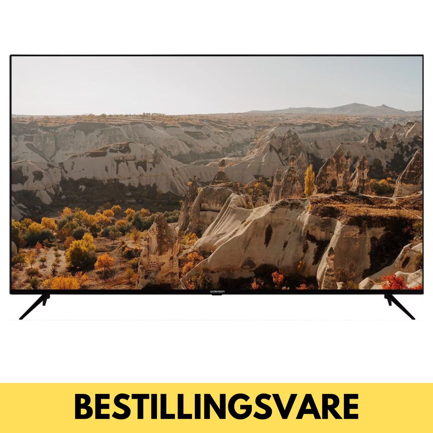 Andersson 65" 4K LED TV