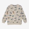 Sweatshirt LS AOP