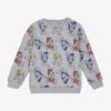 Sweatshirt LS AOP