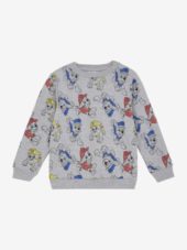 Sweatshirt LS AOP