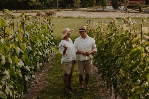 Omvisning og vinsmaking 3. juli 2025 Kl 16.30-18.00