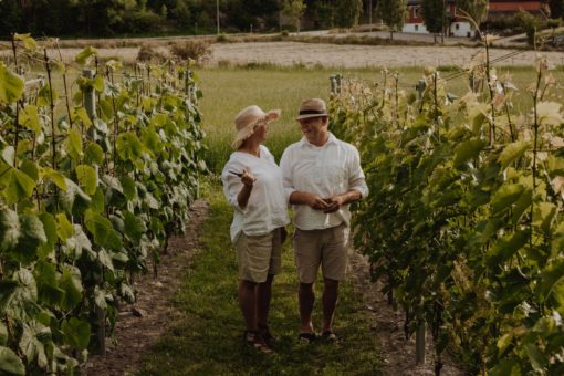 Omvisning og vinsmaking 17.juni kl 19.00