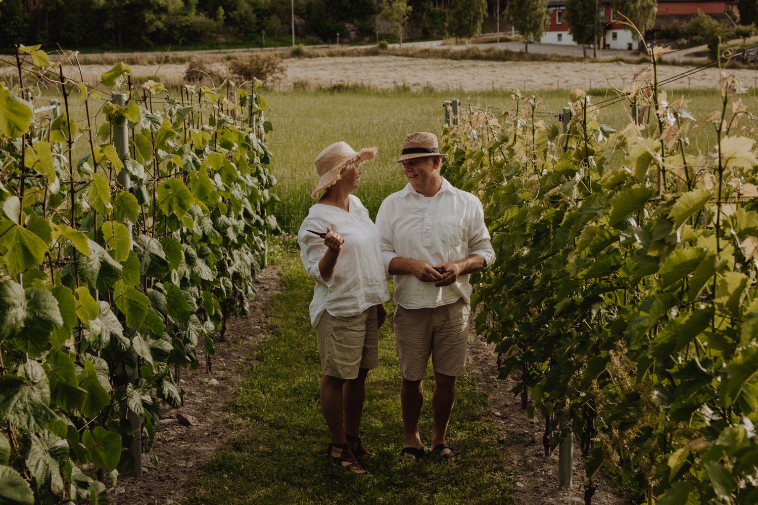 Omvisning og vinsmaking 17.juni kl 19.00