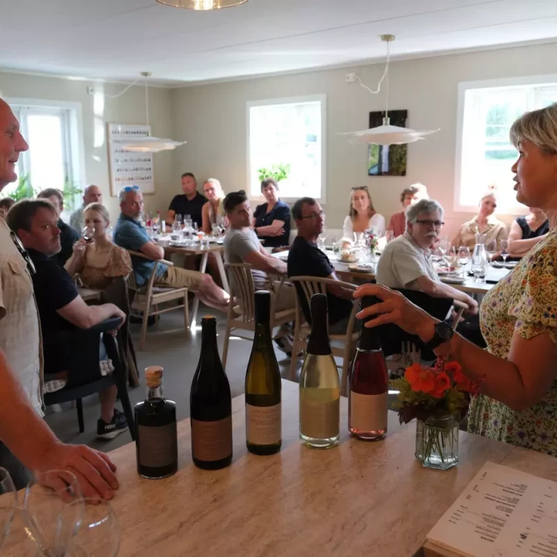 Vårjevndøgn omvisning og vinsmaking 20.mars 2026