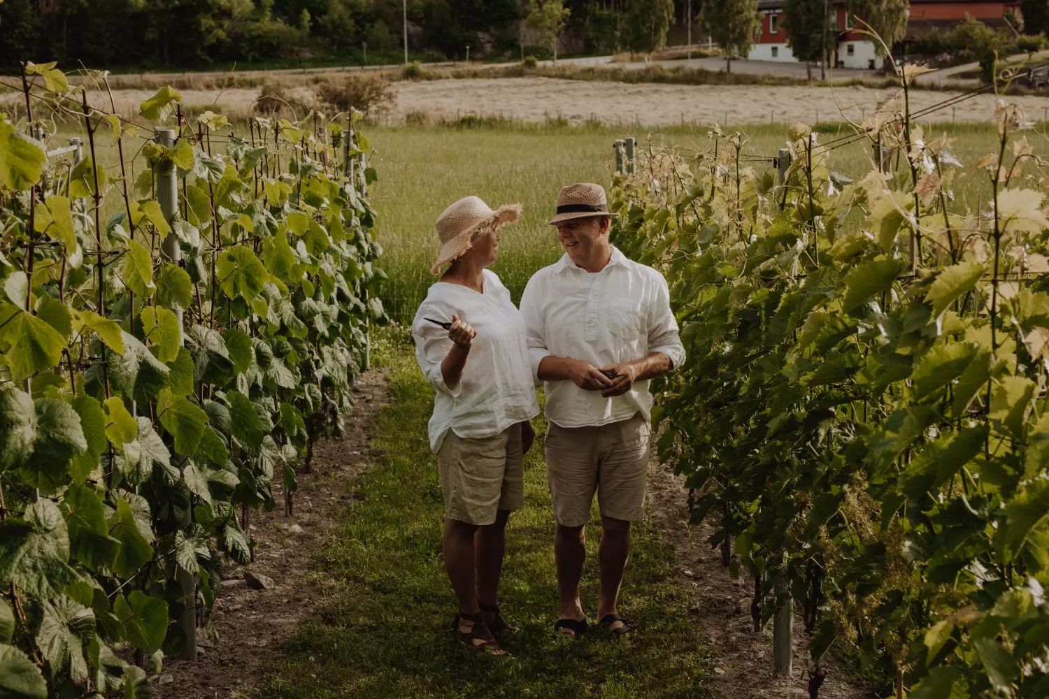Omvisning og vinsmaking Lørdag 27.juni kl 15.00
