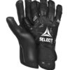 Select  Gk Gloves 90 Flexi Pro V21