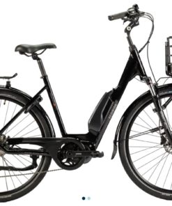 Ecoride AMBASSADOR X AXS M-9 E6100
