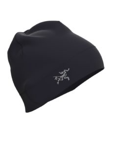 ArcTeryx  Rho Lightweight Wool Toque