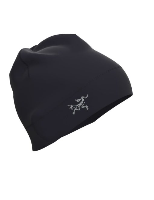 ArcTeryx  Rho Lightweight Wool Toque