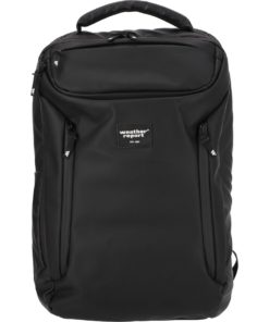 Weather Report  Bronze Pu Computer Backpack