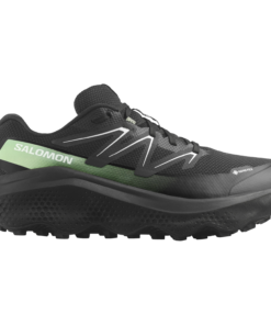 Salomon  Ultra Flow 2 Gtx