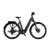 Ecoride Tripper Gen4