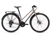 Giant Alight 2 City Disc