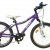 Haax 20" lilla