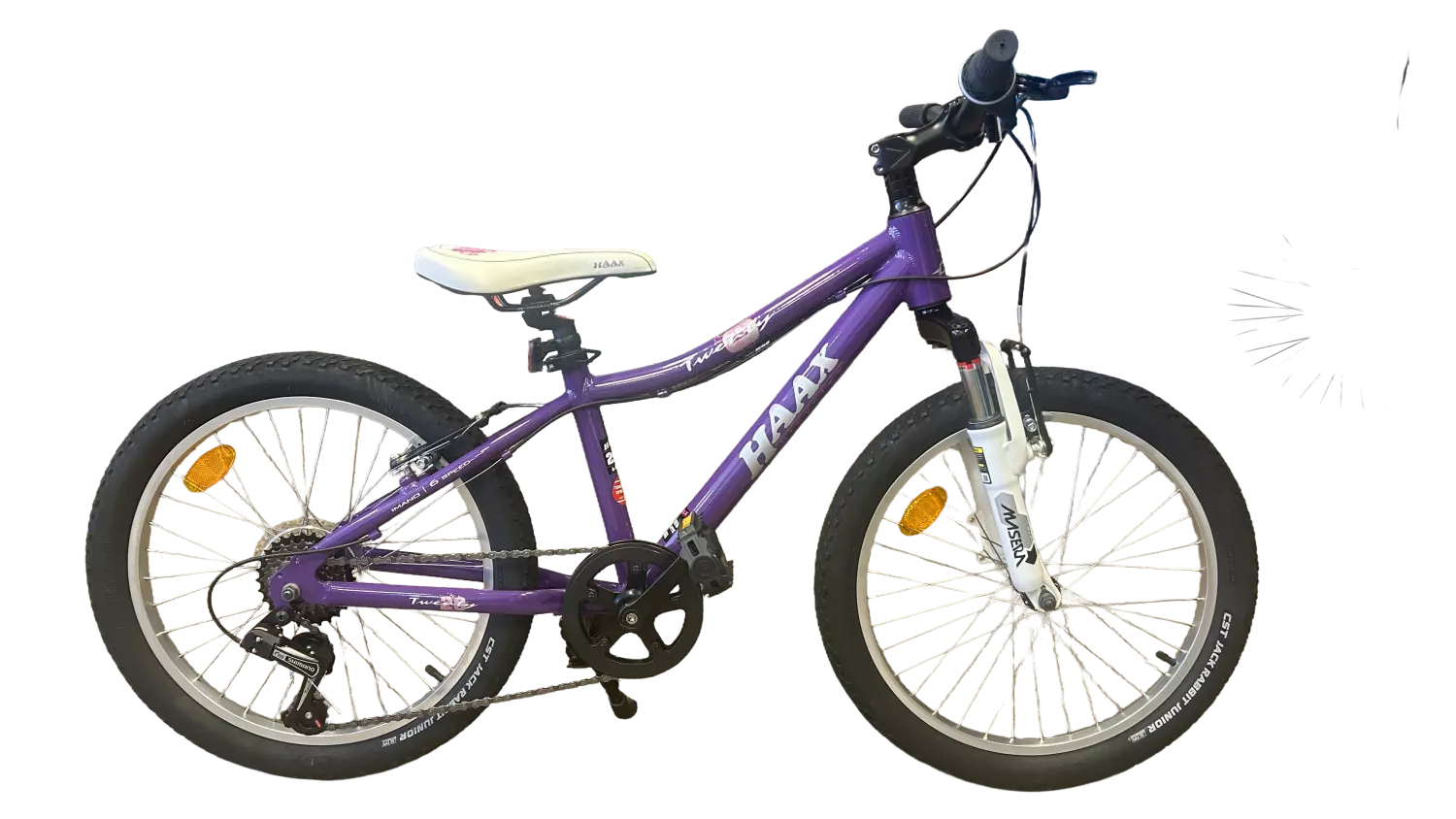 Haax 20" lilla