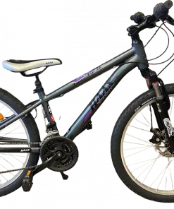 Haax 24" svart/lilla