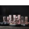 Sorrento whiskeyglass rosa 4 stk 32 cl