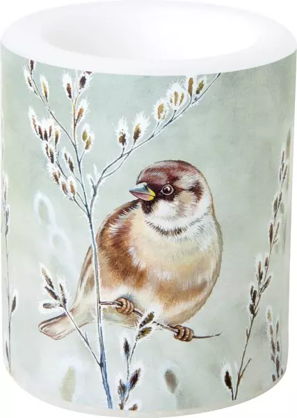 Ihr Stormlys winter melody blue green