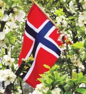 Serviett lunsj 17mai flagg