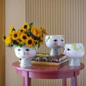 gallery-638-for-100498