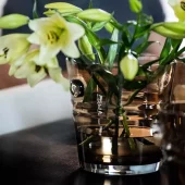 gallery-963-for-301731