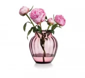 gallery-970-for-1244799