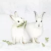 Ihr snow rabbits lunch
