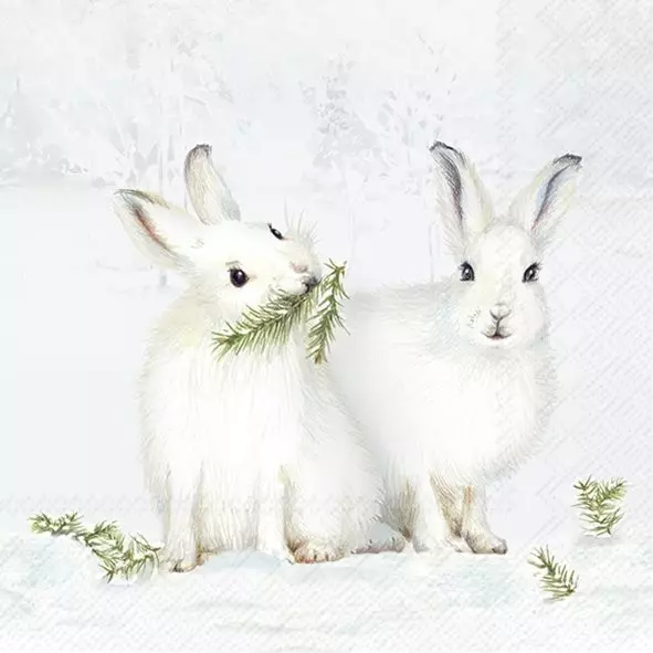 Ihr snow rabbits lunch