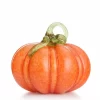 Hadeland Glassgresskar orange 17 cm