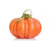 Hadeland Glassgresskar orange 17 cm