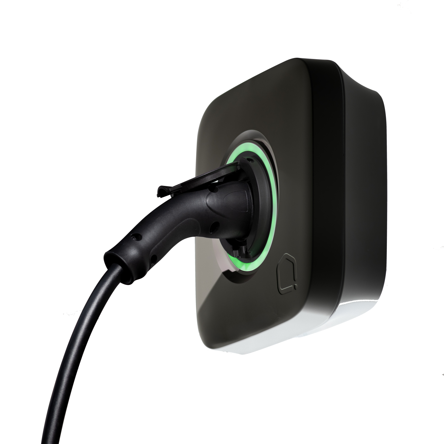 gallery-237-for-100199