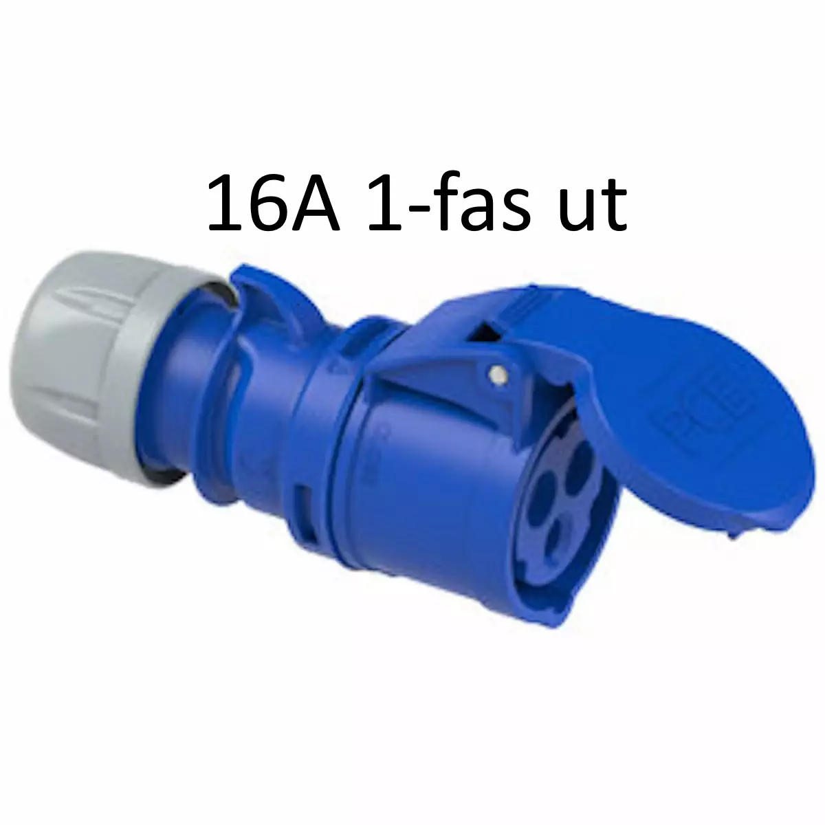 gallery-354-for-100229