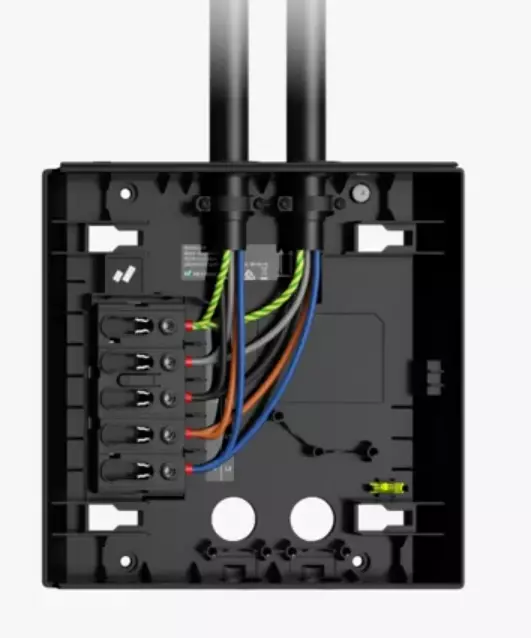 gallery-365-for-100231