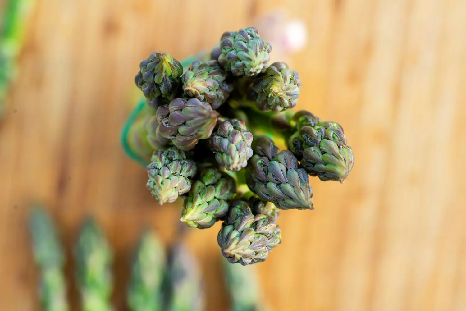 Kurs 2: Vegetar – 21.05.2026, klokken 18:00.