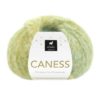 Caness - Caribbean Kiwi