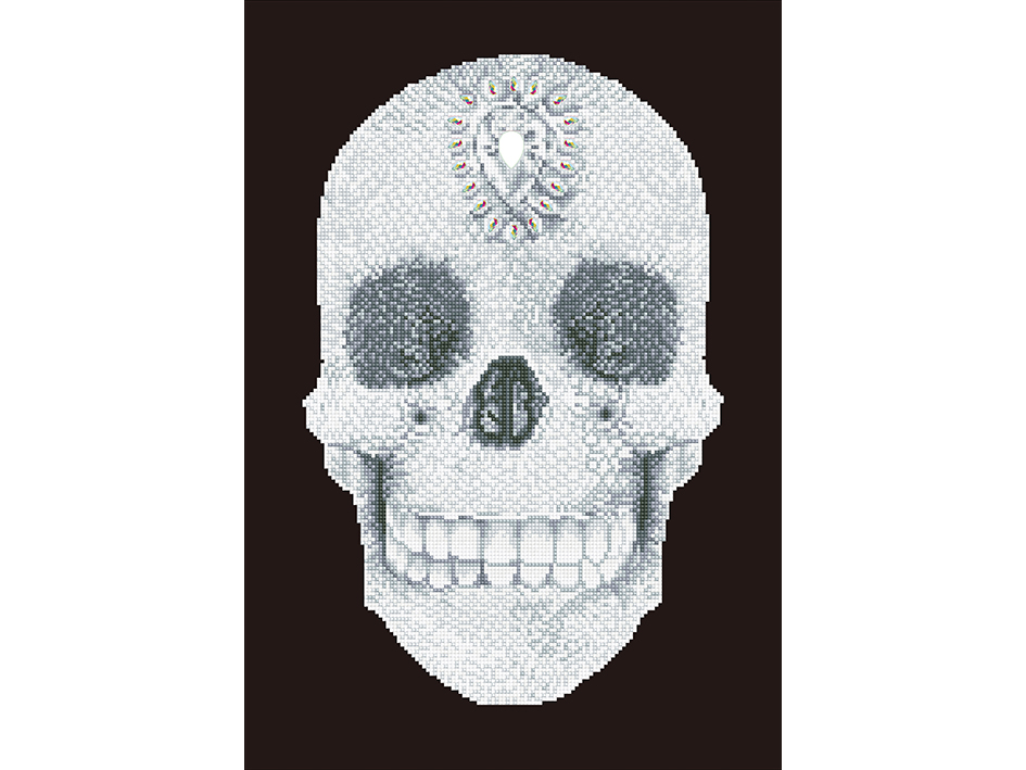 Diamond Dotz DD10 – Crystal Skull