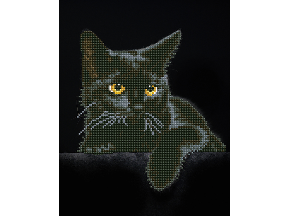Diamond Dotz DD5 – Midnight Cat