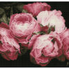 Diamond Dotz Squares DQ9 - Vintage Roses