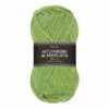 Hitchhiking in Himalaya - 8013 Green melange