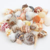 Skjellmix store ca 250g